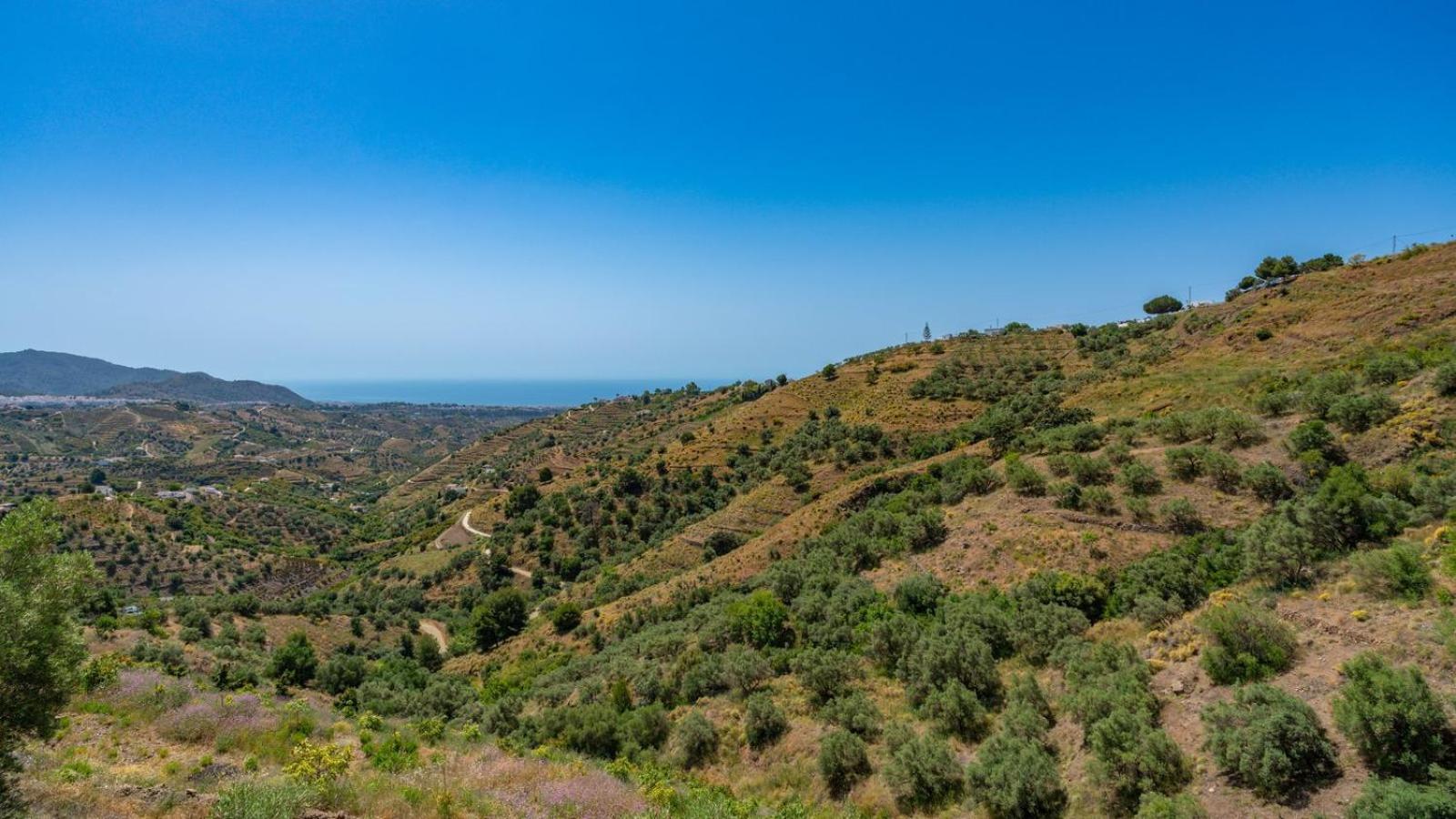 Cortijo El Mirador Frigiliana By Ruralidaysヴィラ エクステリア 写真